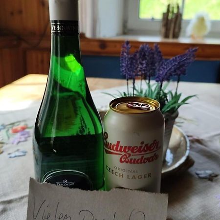 Romantische Ferienhuette Nationalpark Kalkalpen, Sonnig, 2 Schlafzimmer, Wlan Kleinreifling Zewnętrze zdjęcie