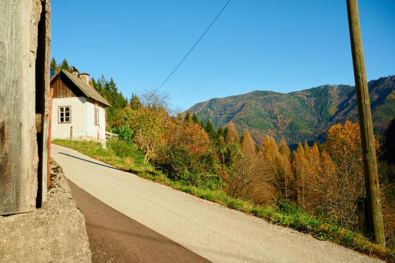 Romantische Ferienhuette Nationalpark Kalkalpen, Sonnig, 2 Schlafzimmer, Wlan Kleinreifling Zewnętrze zdjęcie