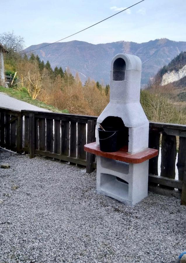 Romantische Ferienhuette Nationalpark Kalkalpen, Sonnig, 2 Schlafzimmer, Wlan Kleinreifling Zewnętrze zdjęcie