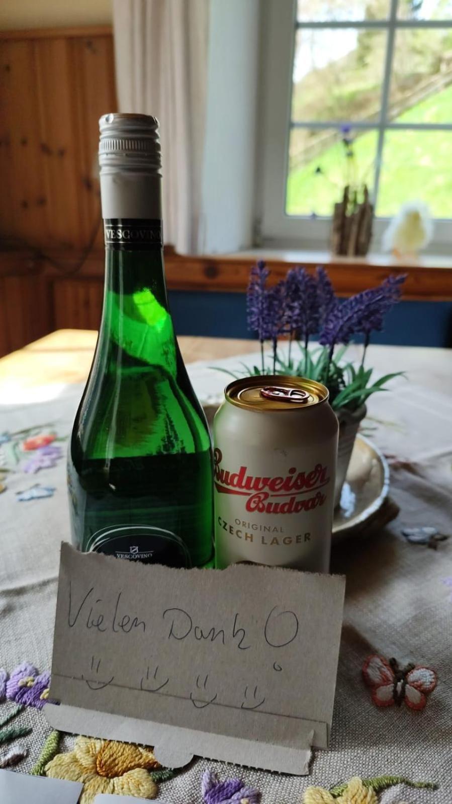 Romantische Ferienhuette Nationalpark Kalkalpen, Sonnig, 2 Schlafzimmer, Wlan Kleinreifling Zewnętrze zdjęcie