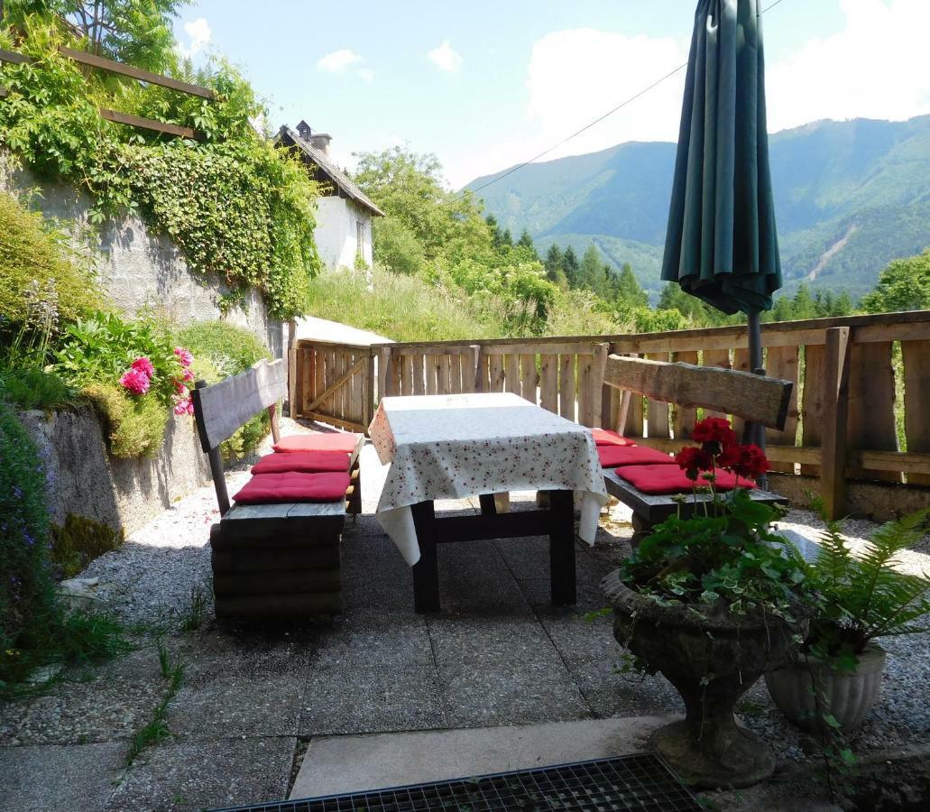 Romantische Ferienhuette Nationalpark Kalkalpen, Sonnig, 2 Schlafzimmer, Wlan Kleinreifling Zewnętrze zdjęcie